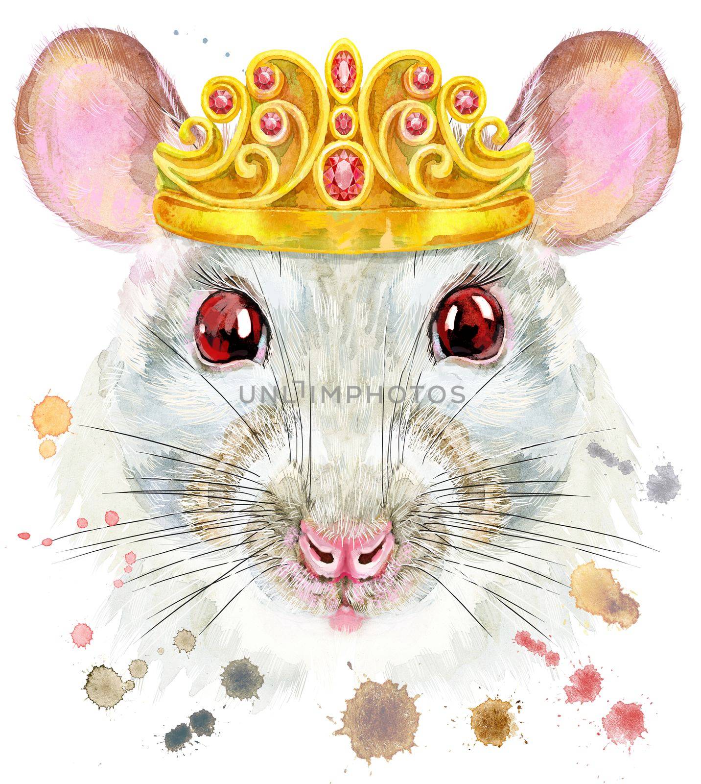 Watercolor portrait of white rat with golden crown and splashes by NataOmsk