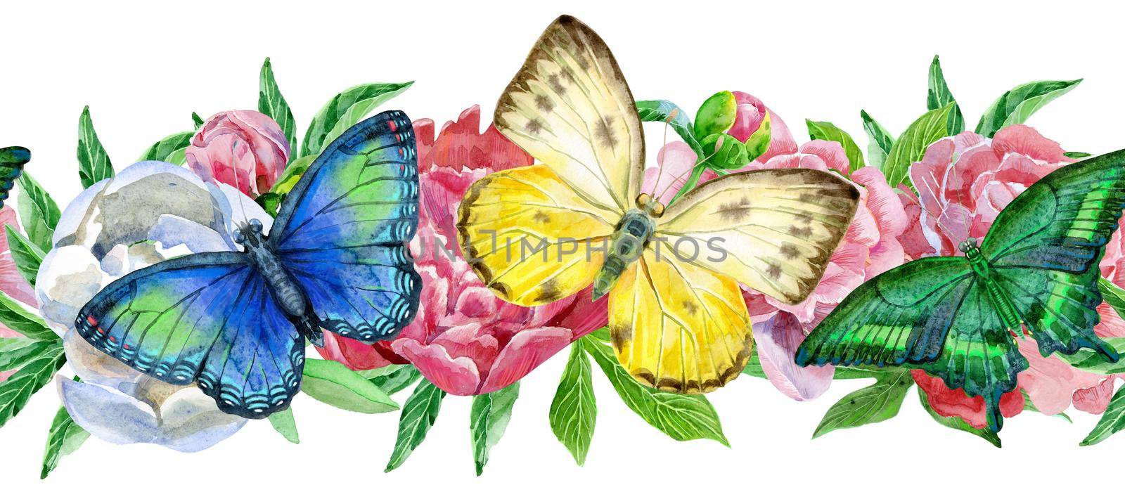 Seamless floral border with colorful butterflies and peonies on white background by NataOmsk