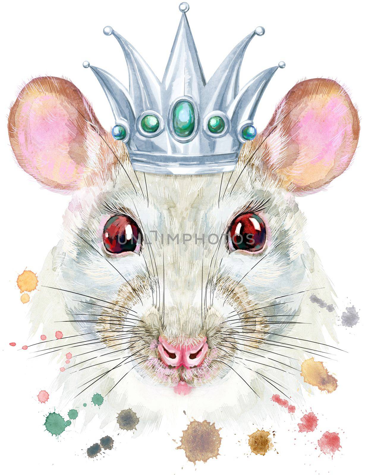 Watercolor portrait of white rat with silver crown and splashes by NataOmsk