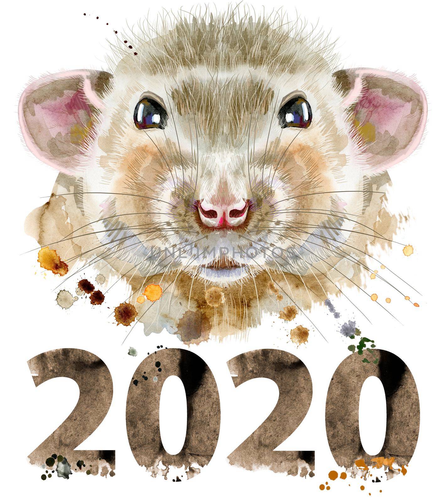 Watercolor portrait of rat with splashes and year 2020 by NataOmsk