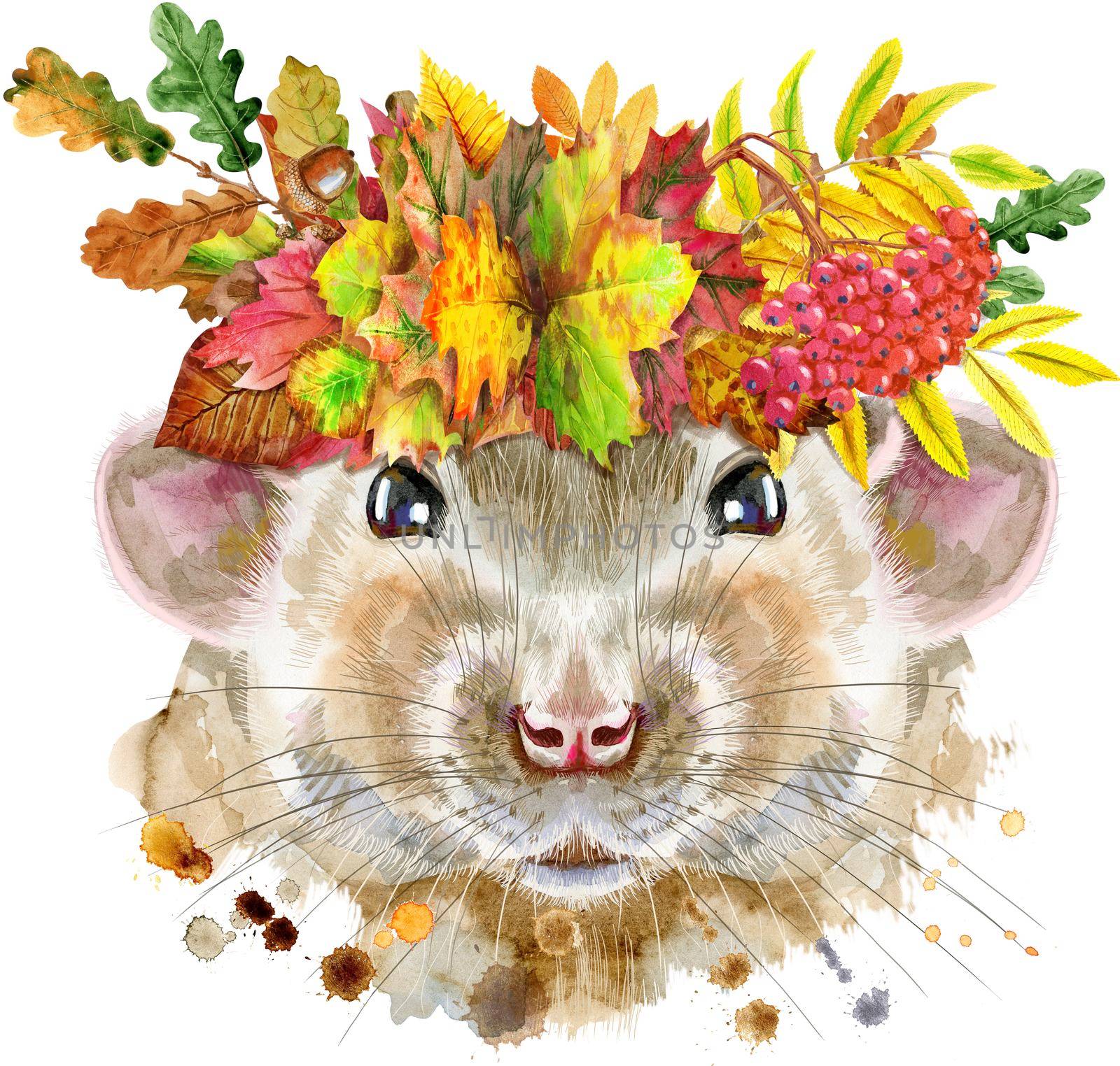 Cute rat for t-shirt graphics. Watercolor rat illustration