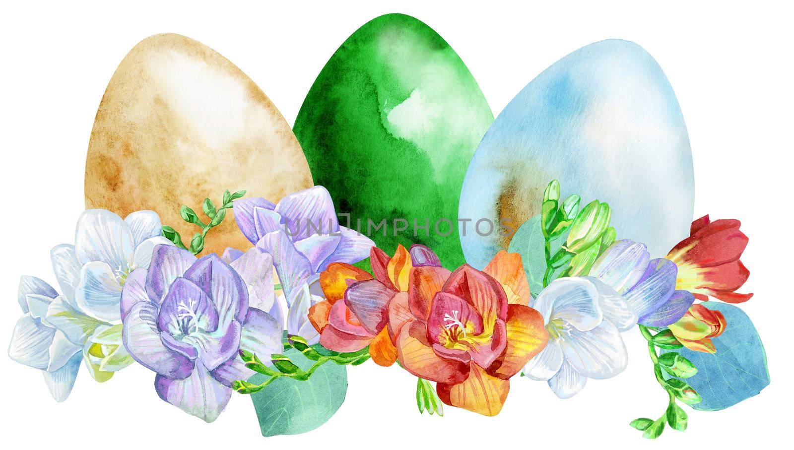 Watercolor Easter colored eggs with freesia and green grass on white background. Design element for greeting cards, note cards and invitations.