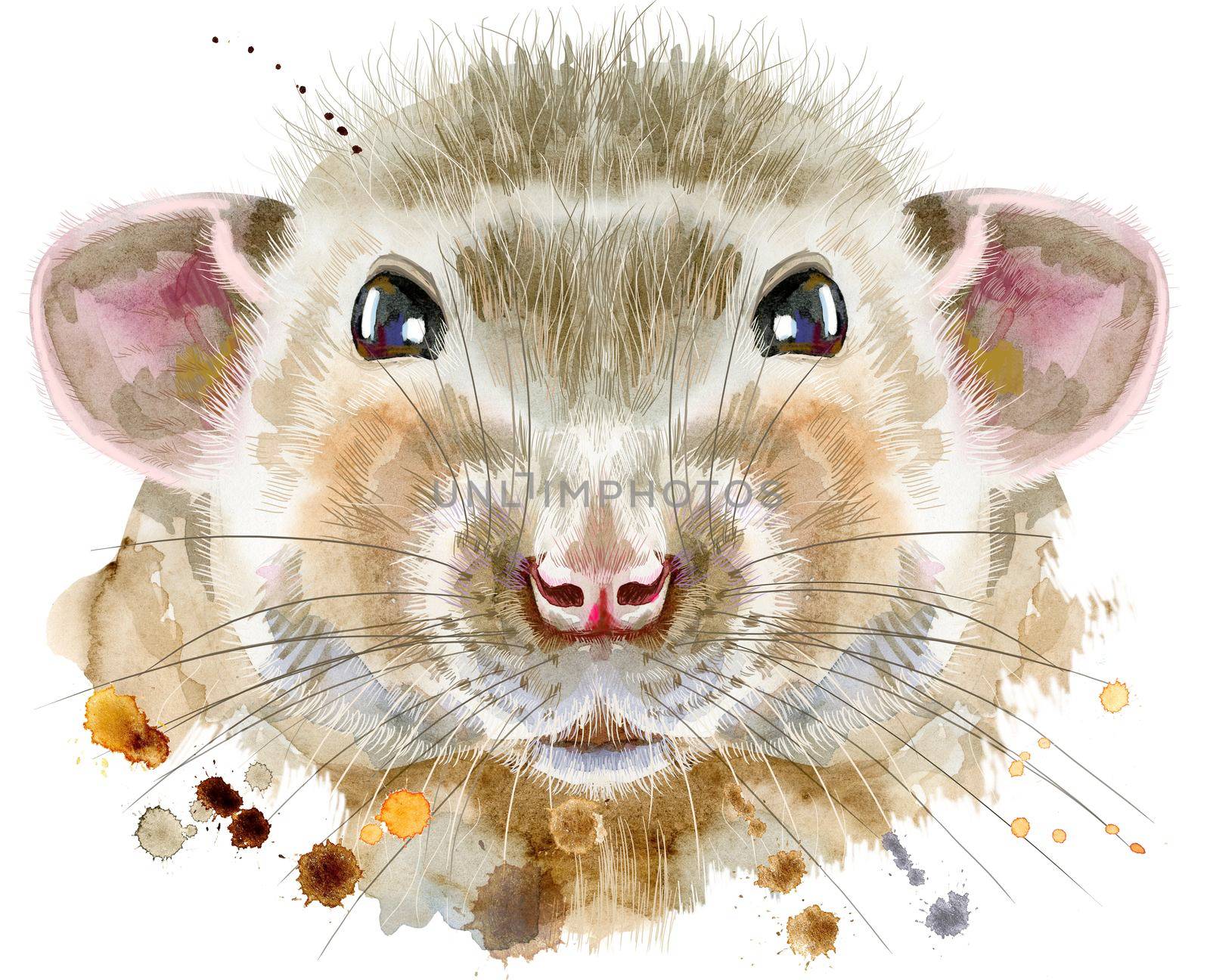 Watercolor portrait of rat with splashes by NataOmsk