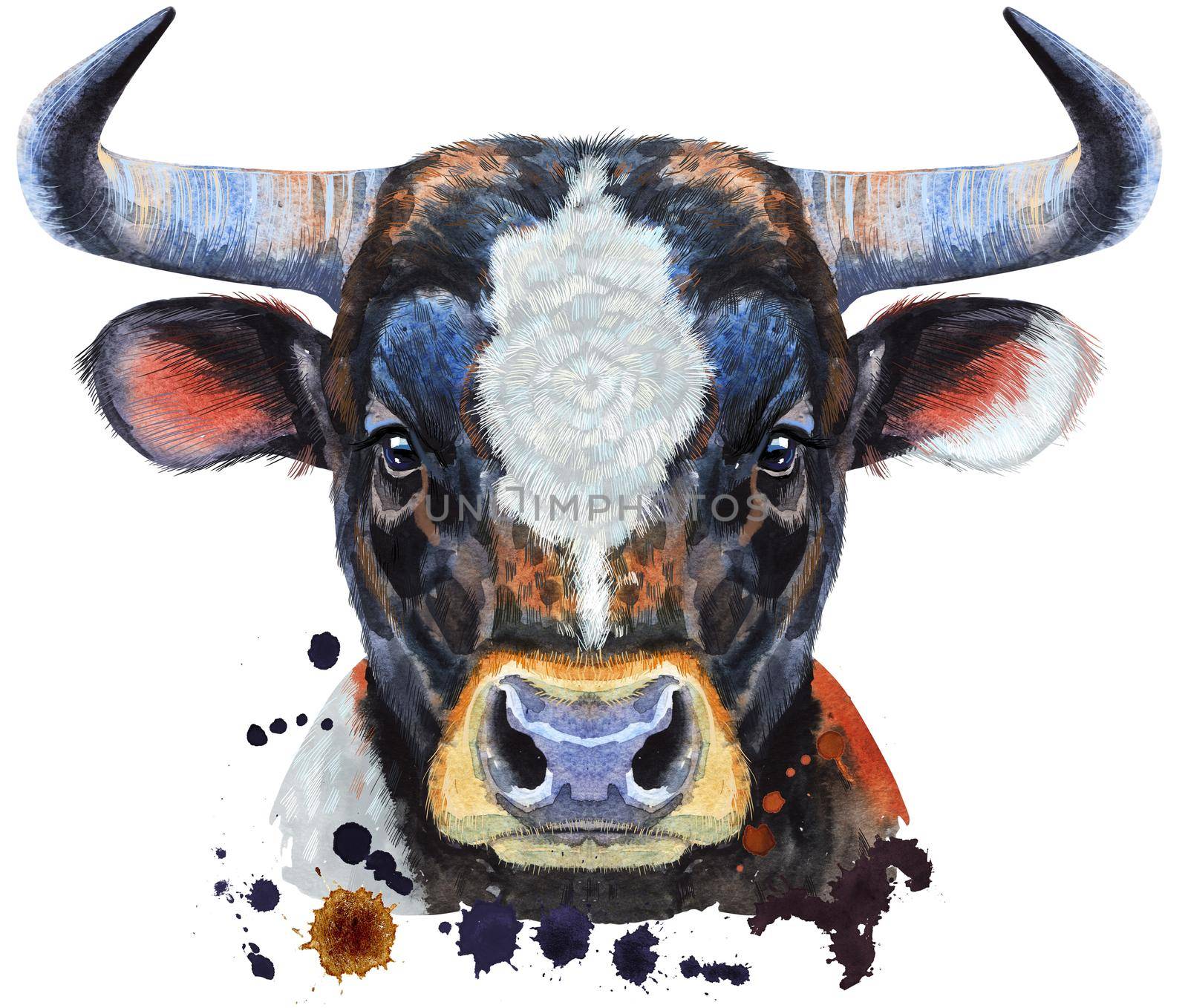 Watercolor illustration of black bull with white spot by NataOmsk