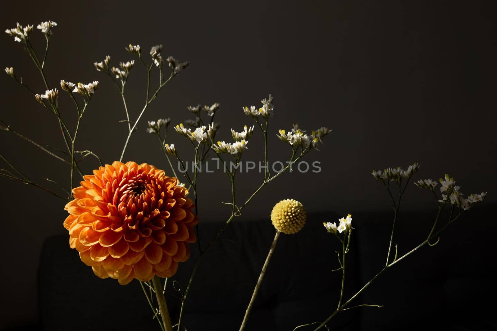 Beautiful orange coloured sunny Dahlia flower , yellow craspedia and white dried flowers, modern bouquet flowers dark style still life side view