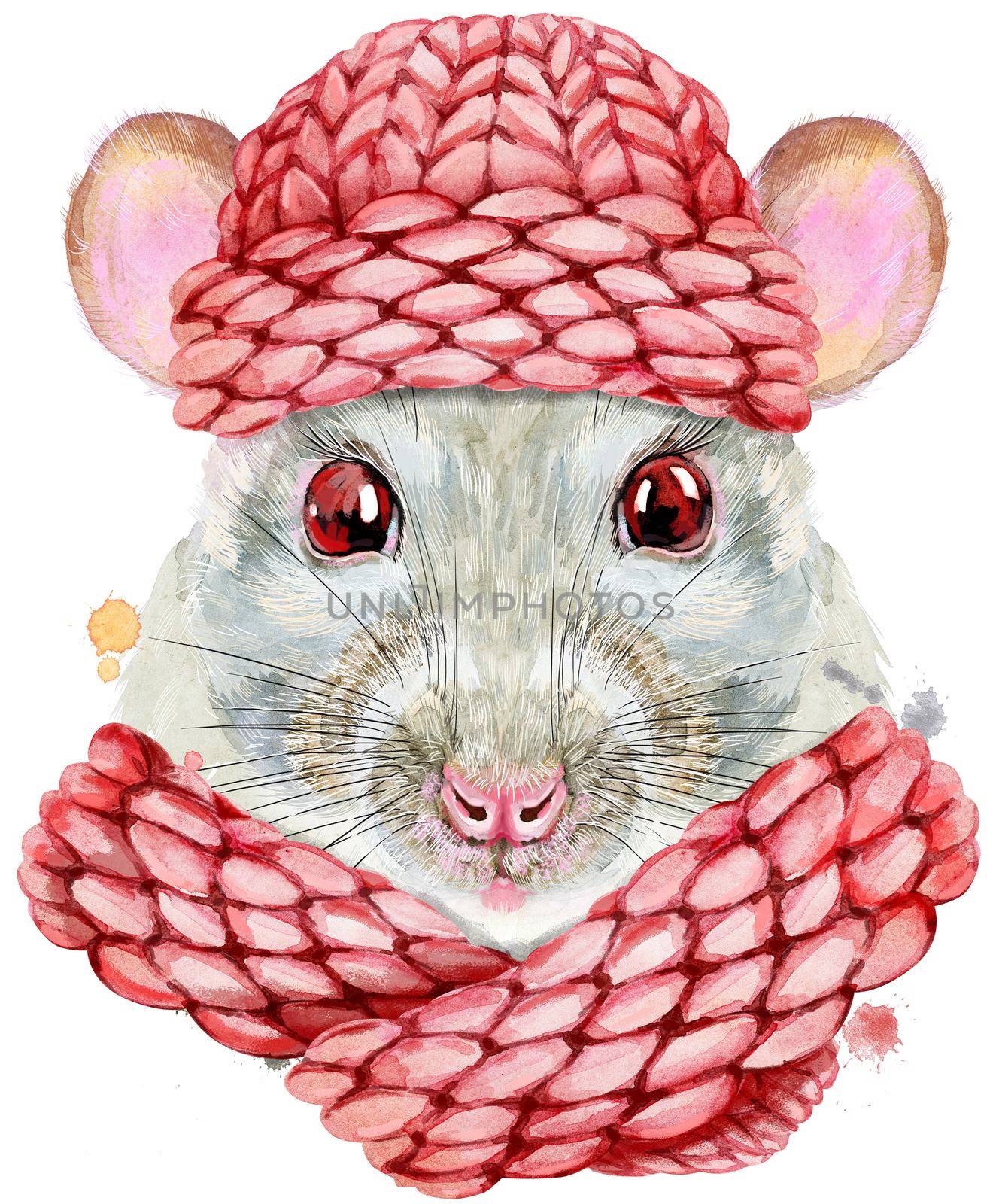 Watercolor portrait of white rat with pink knitted hat by NataOmsk