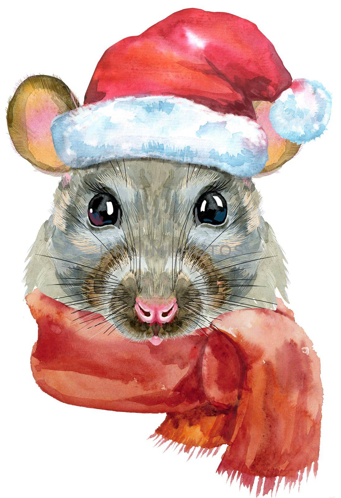 Watercolor portrait of rat in Santa hat and scarf with splashes by NataOmsk