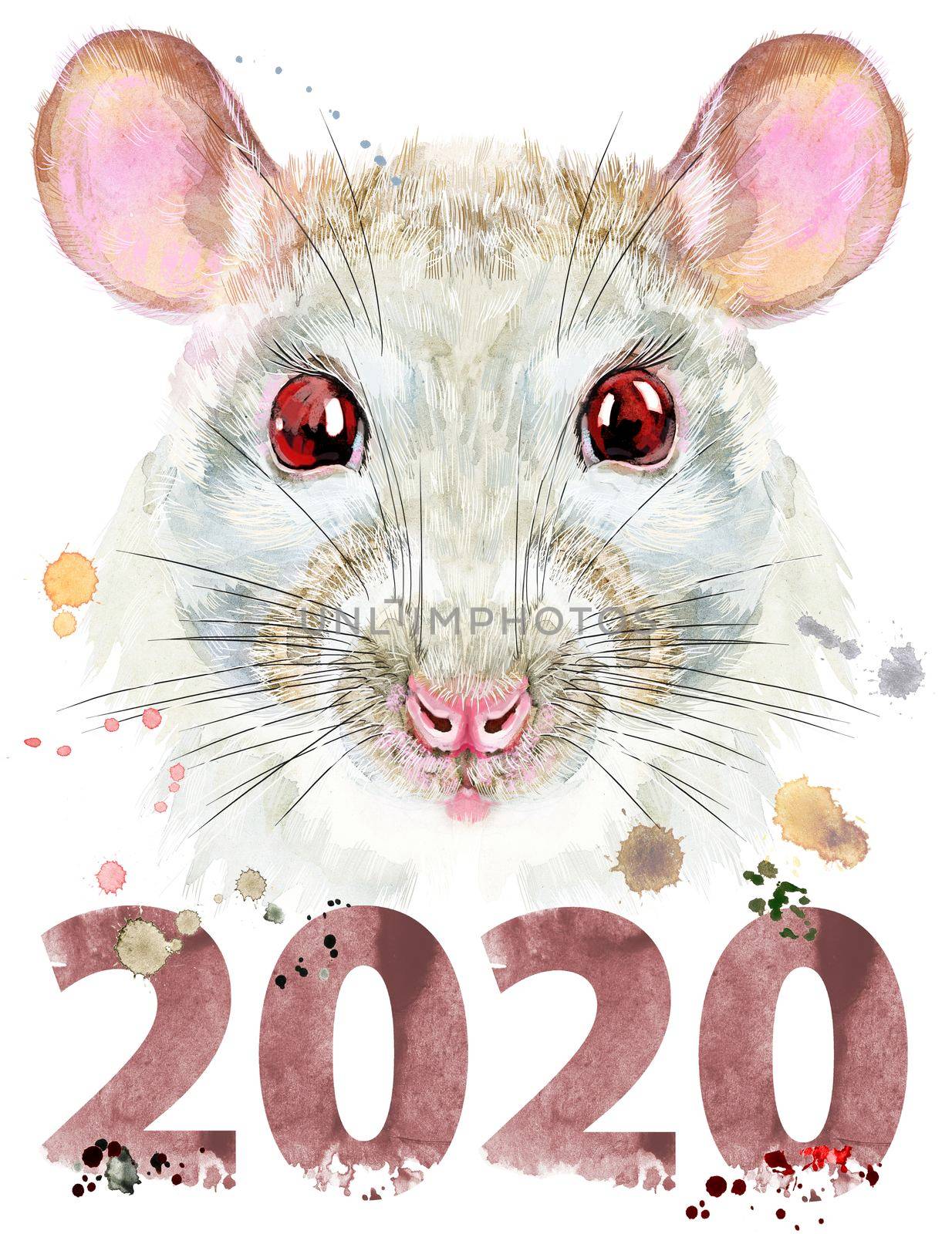 Watercolor portrait of white rat with splashes and year 2020 by NataOmsk