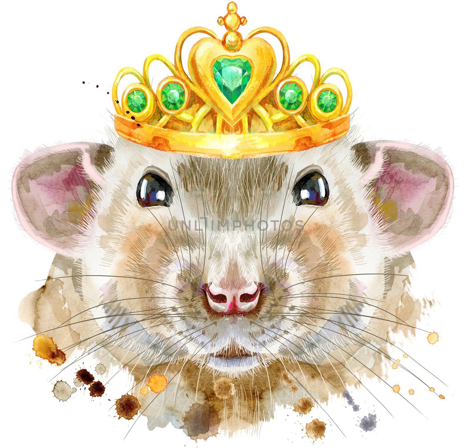 Cute rat with golden crown for t-shirt graphics. Watercolor rat illustration