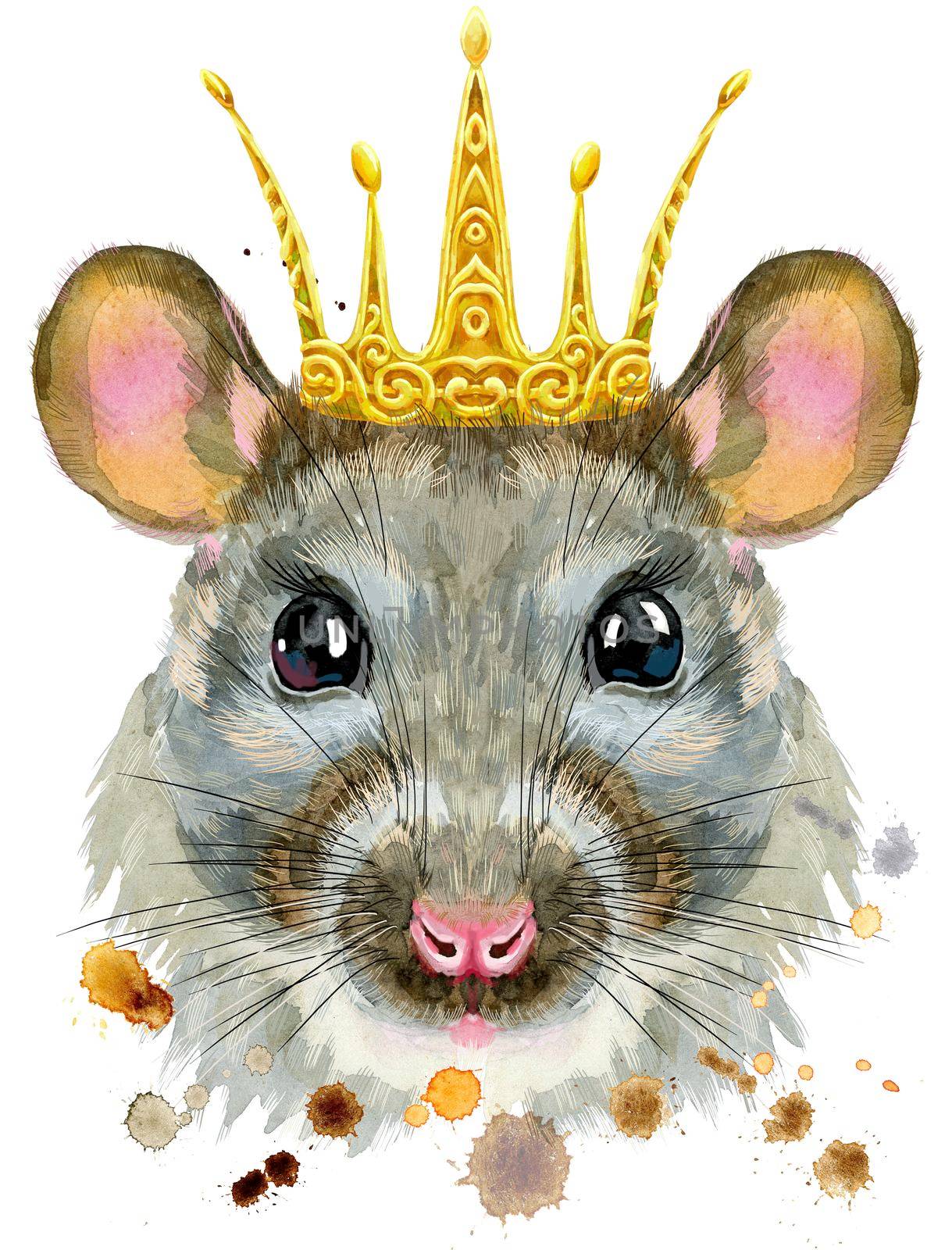 Watercolor portrait of rat with golden crown by NataOmsk