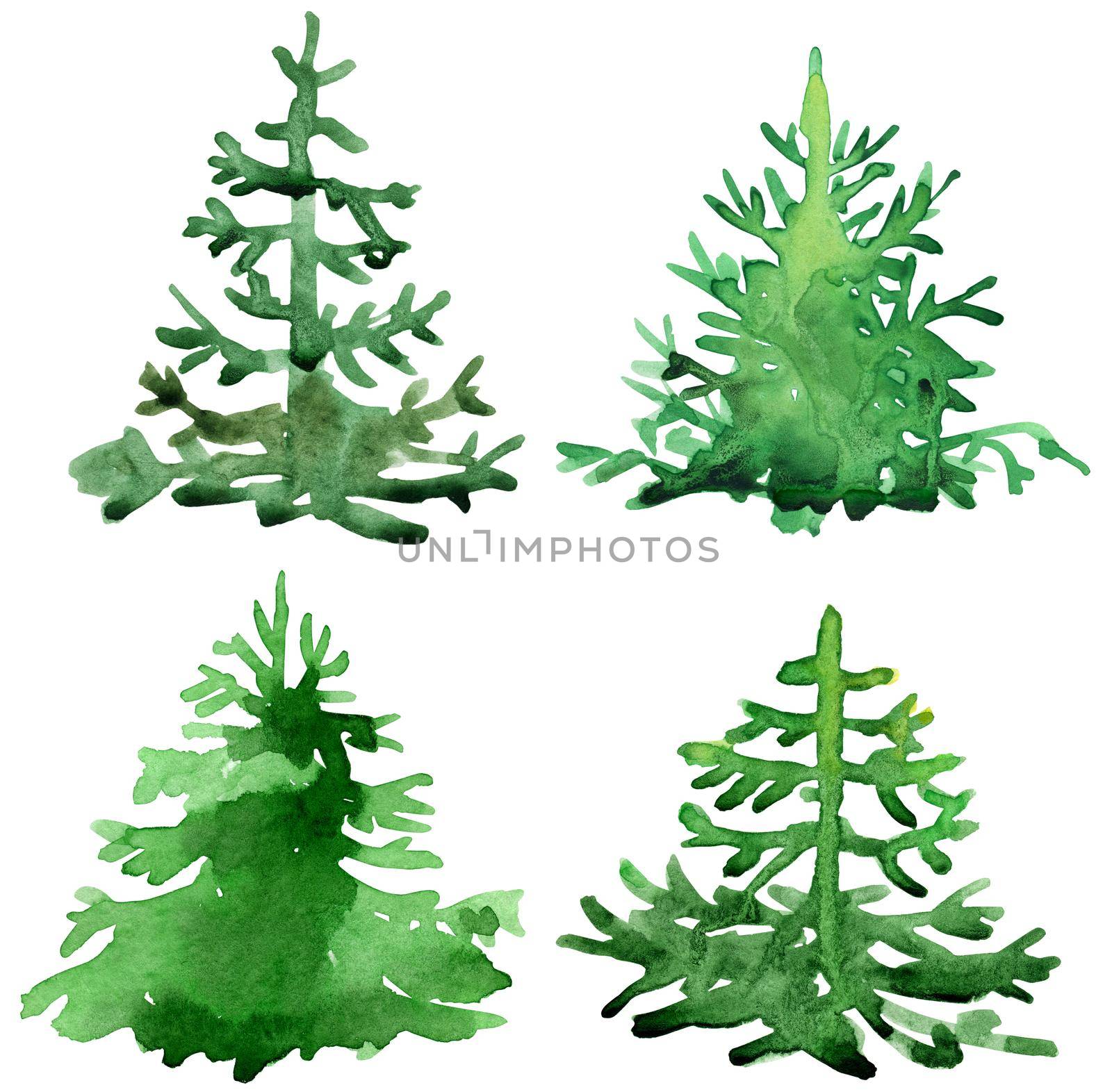 Green fir trees drawing by watercolor, isolated forest element, conifer tree, hand drawn illustration