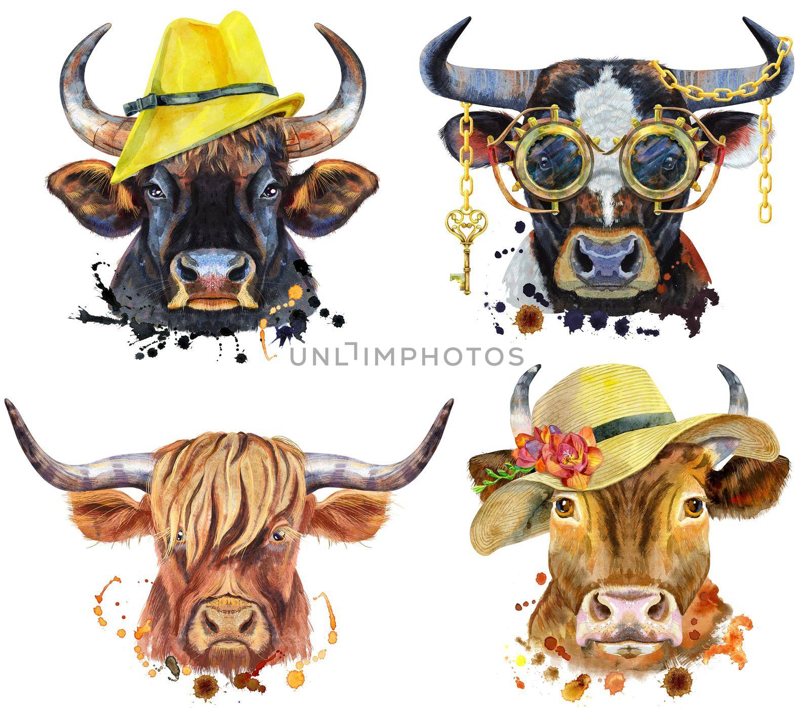 Set of watercolor bulls on white background. by NataOmsk