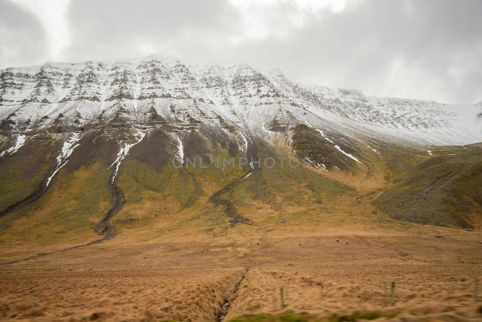 Snow covers Icelandic mountain's unique texture and layers green brown grassy landscape below by jyurinko