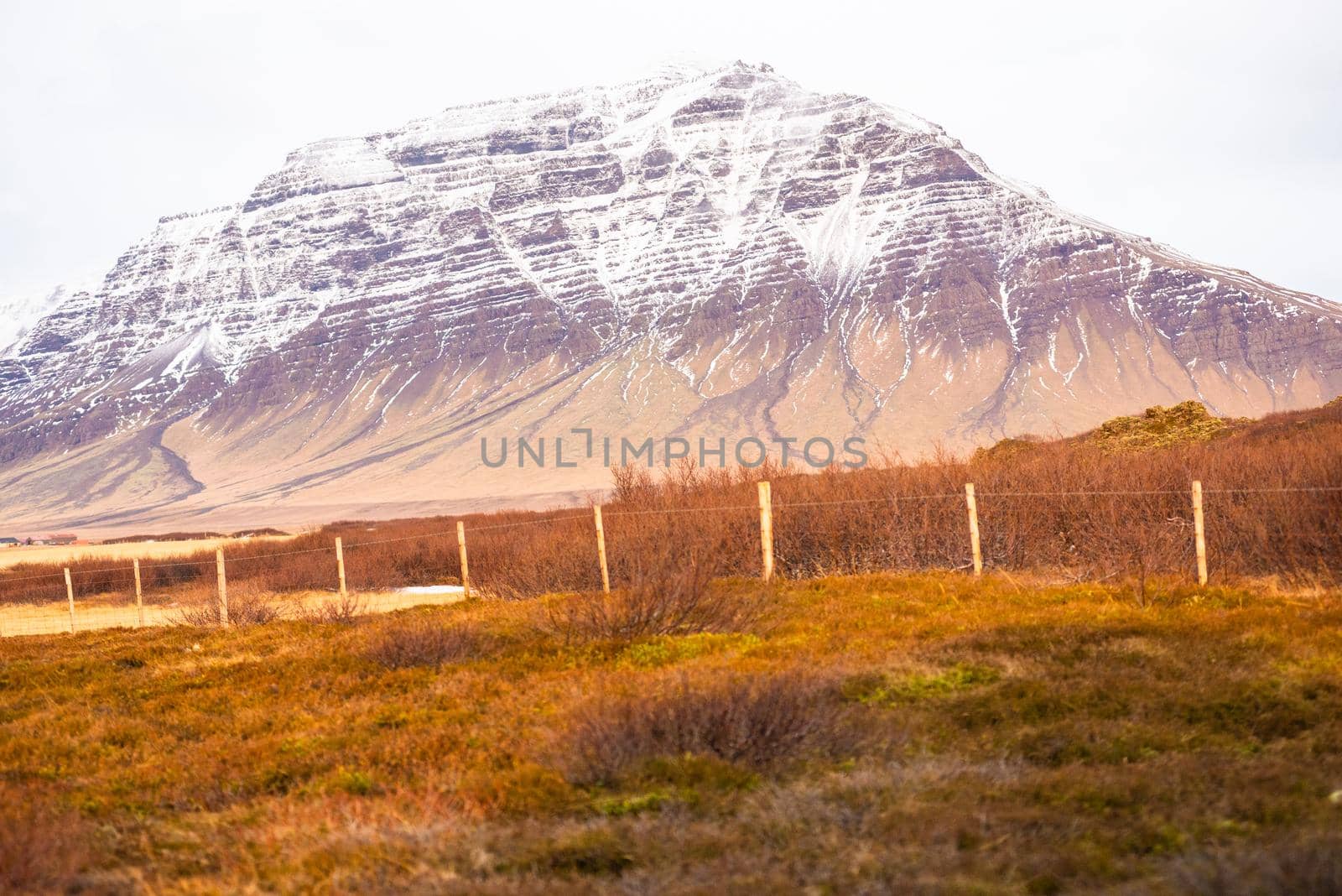 Colorful Icelandic landscape with purple snow capped mountain and orange grassy foreground by jyurinko