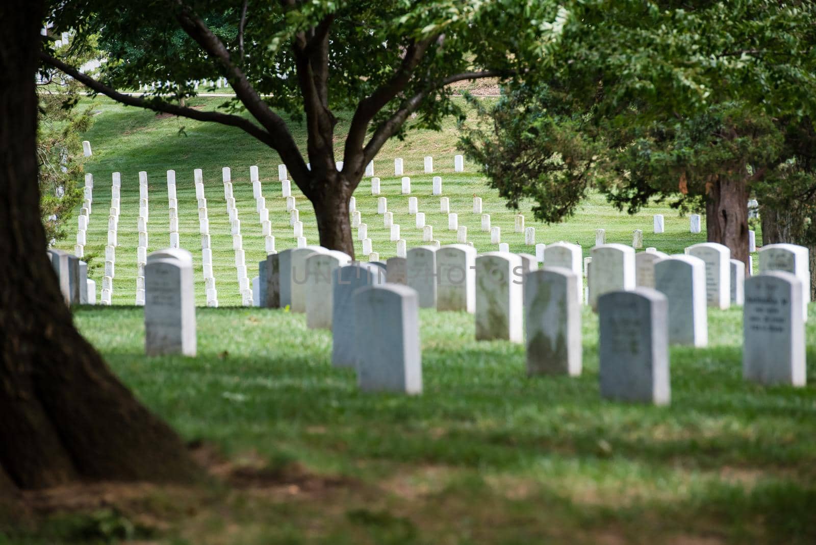 Gravestones at Arlington National Cemetery in Virginia by jyurinko