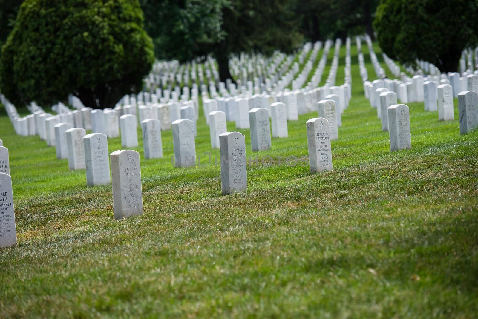 Gravestones at Arlington National Cemetery in Virginia by jyurinko