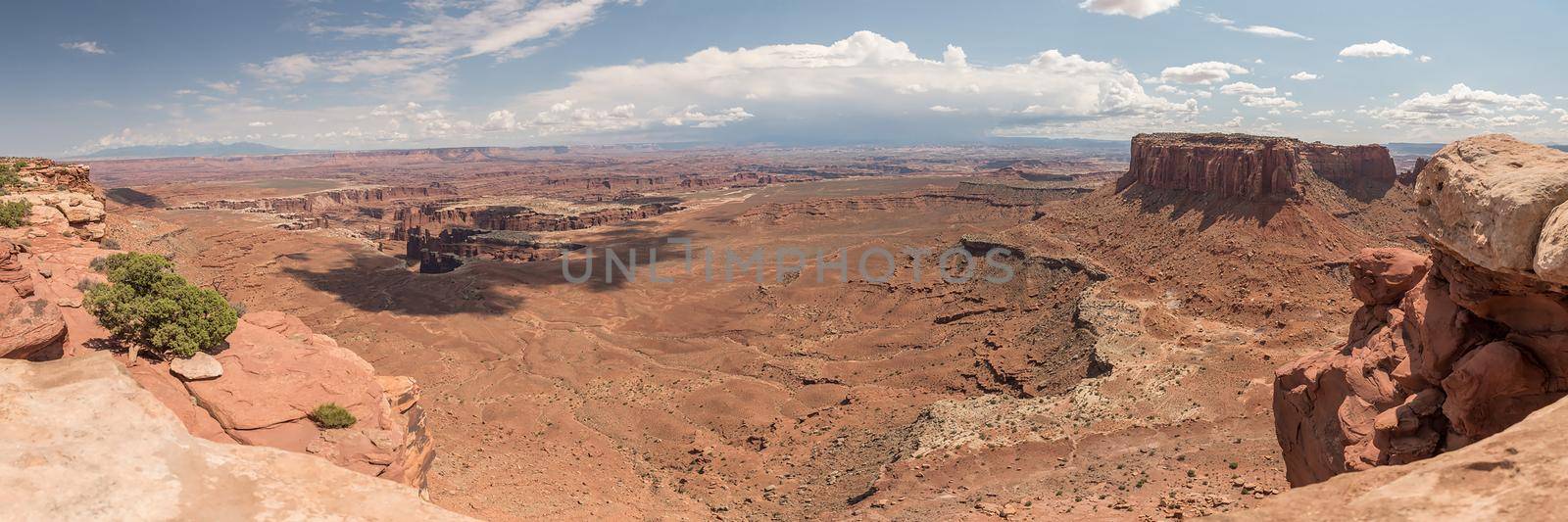 Panorama of Canyonlands landscape in Utah showing huge brown canyon