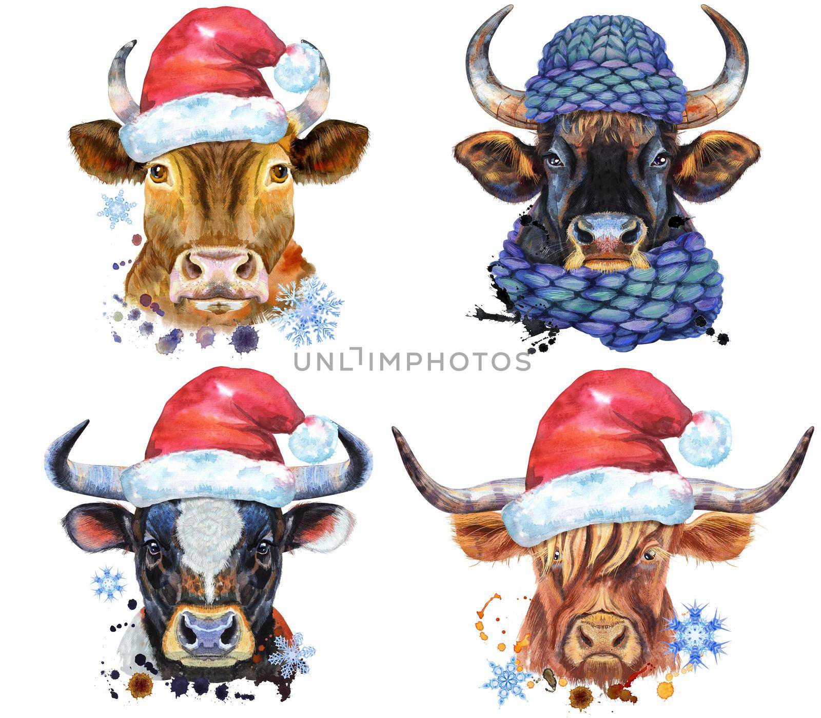 Illustration of a brown long-horned bull in chullo hat, bull in wreath of leaves, bulls in cowbow