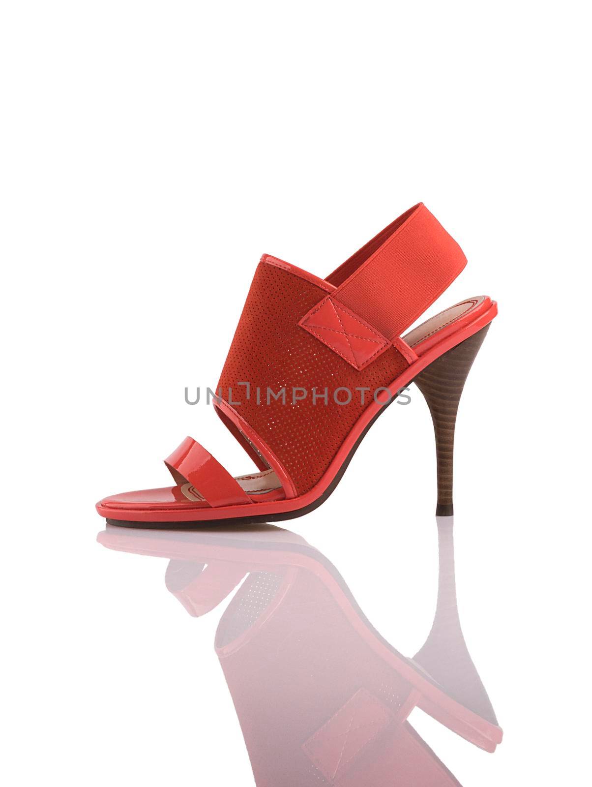 Modern fashionable women shoe shot in studio