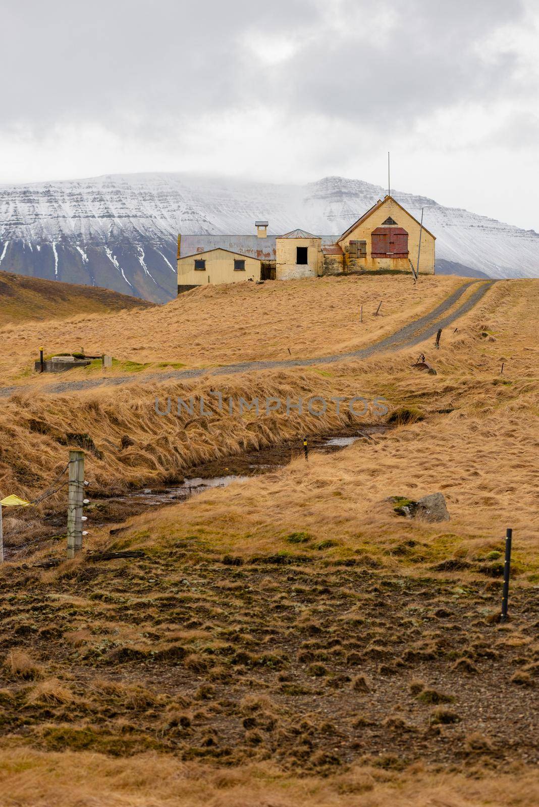 Farmland with driveway leads to a home with a blue mountain snowy backdrop in Iceland by jyurinko