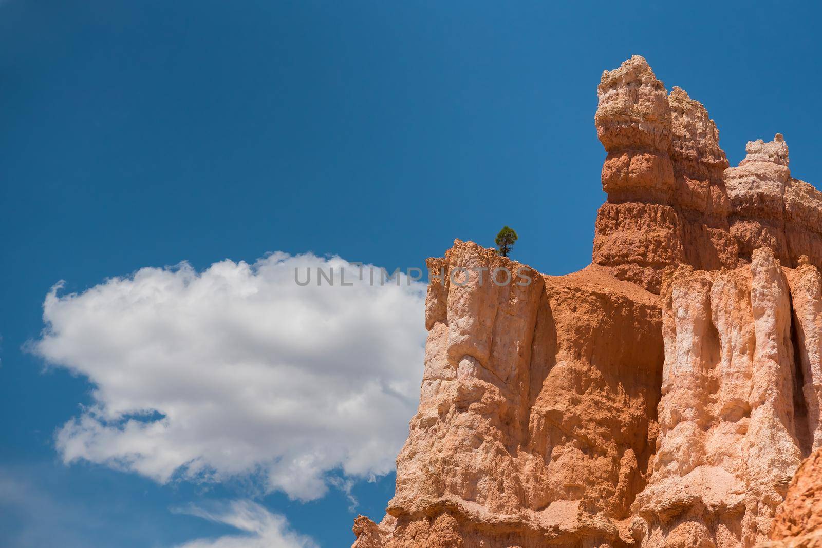 Bryce Canyon National Park hoodoo next to lone cloud.