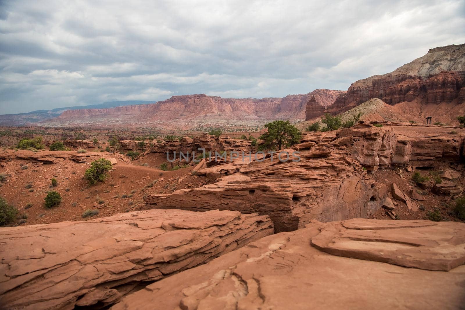 Canyonlands National Park Utah flowing rocky landscape