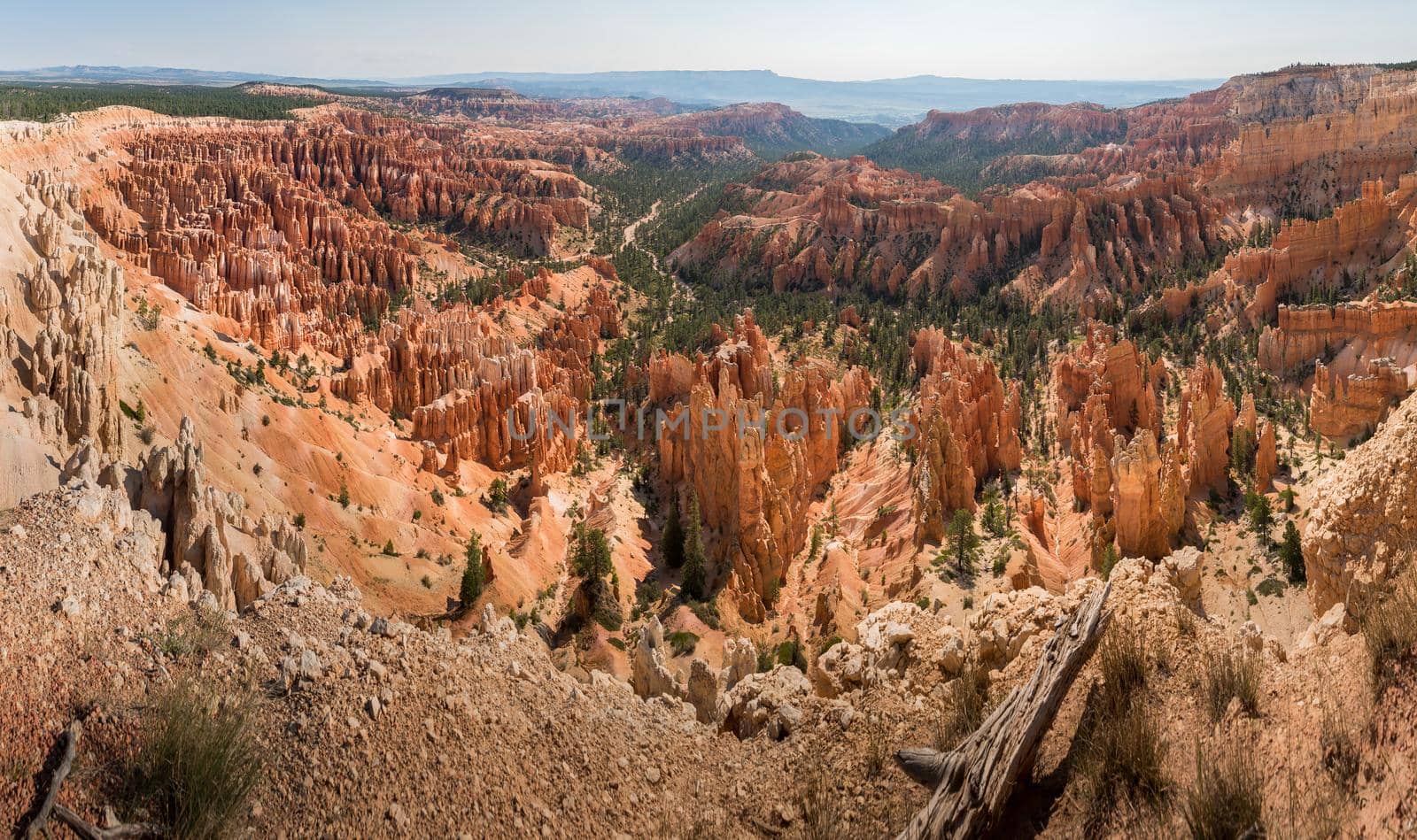 Utah Bryce Canyon National Park amphitheater by jyurinko