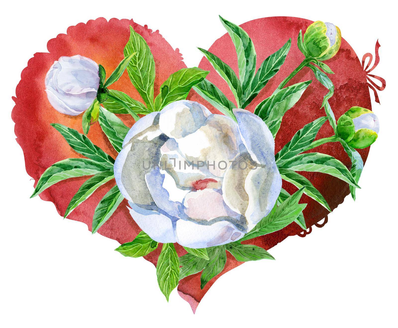 watercolor red heart with white peonies by NataOmsk