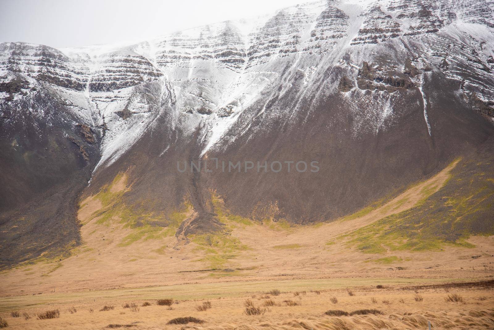 Close up of snow capped grey mountain top with green and tan earth tones and textures