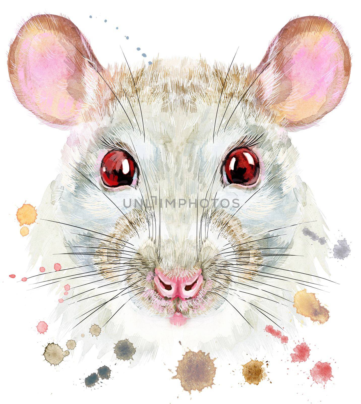 Watercolor portrait of white rat with splashes by NataOmsk