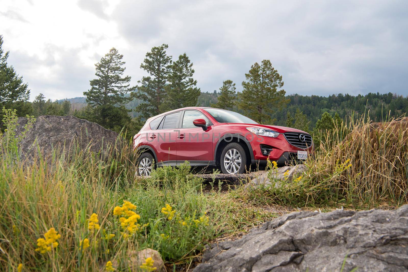 Beauty photo of red SUV on a road trip with flowers and trees surrounding it.