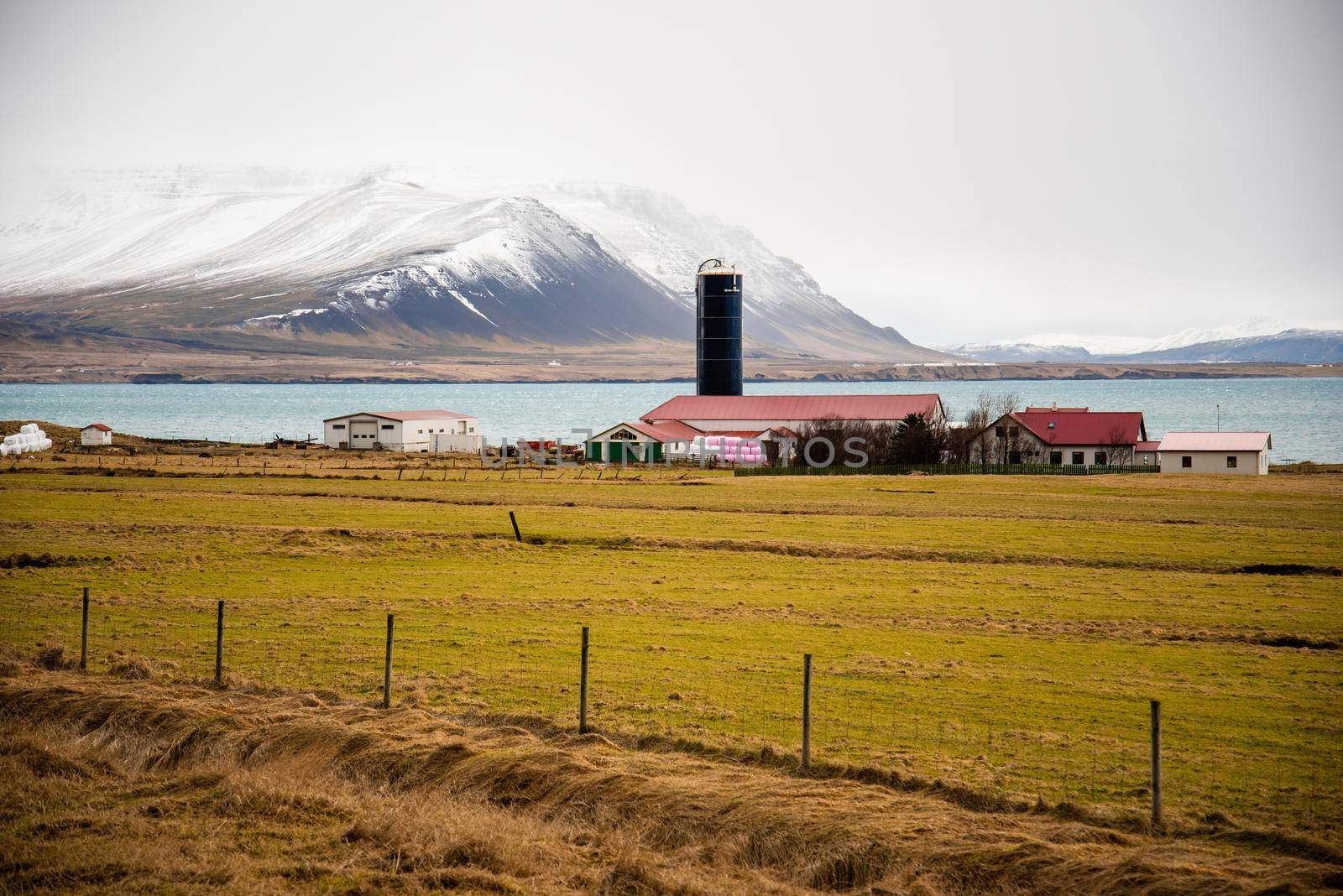 Vibrant grassy pasture leads into a gorgeous red barn with silo with magical snow capped mountains and blue water in the background of this Icelandic landscape by jyurinko