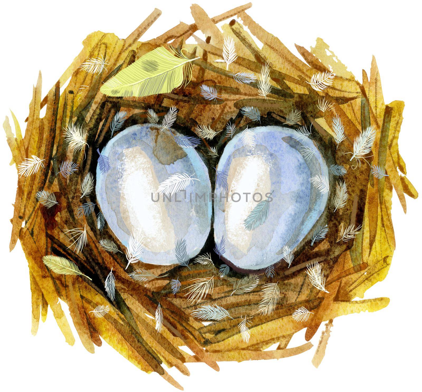 Nest with eggs. Painted with watercolors on white background. Spring decoration. Decorating for Easter.