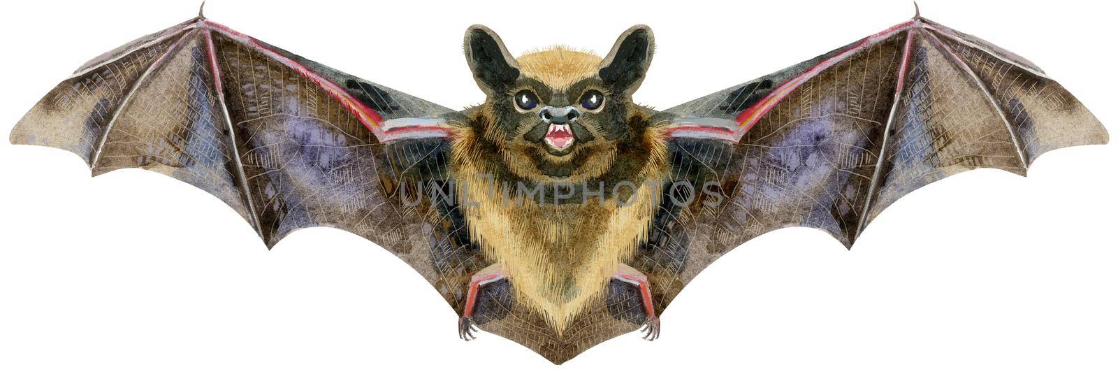 Watercolor halloween illustration of bat in flight. Great element of scary greeting card, dark night party invitation, costume, packaging, pattern, textile design.