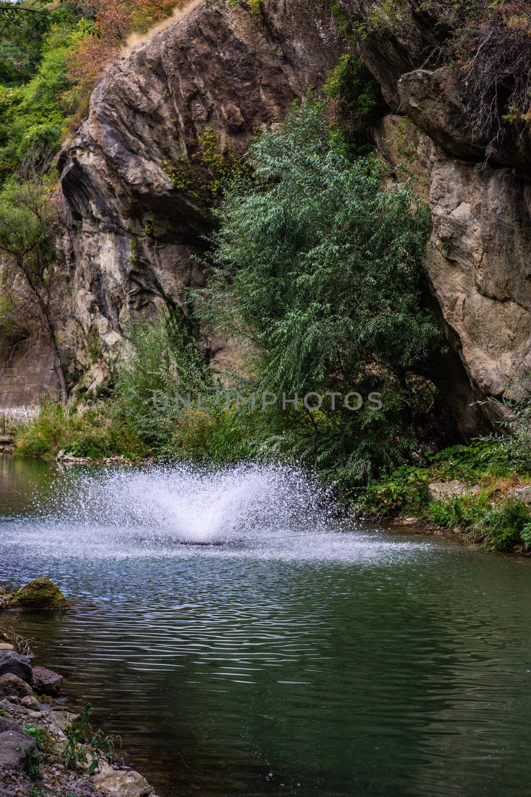 Rivver close to Birtvisi Canyon in Kartli region in Georgia