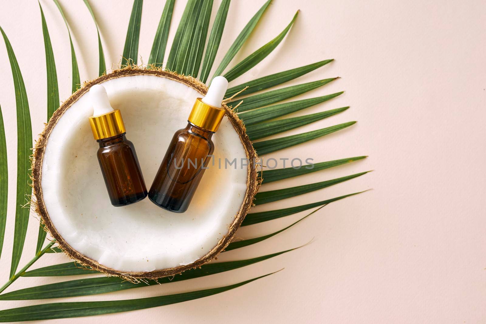 Coconut oil in bottle with open nuts and pulp in jar, green palm leaf background. Natural cosmetic products. by makidotvn