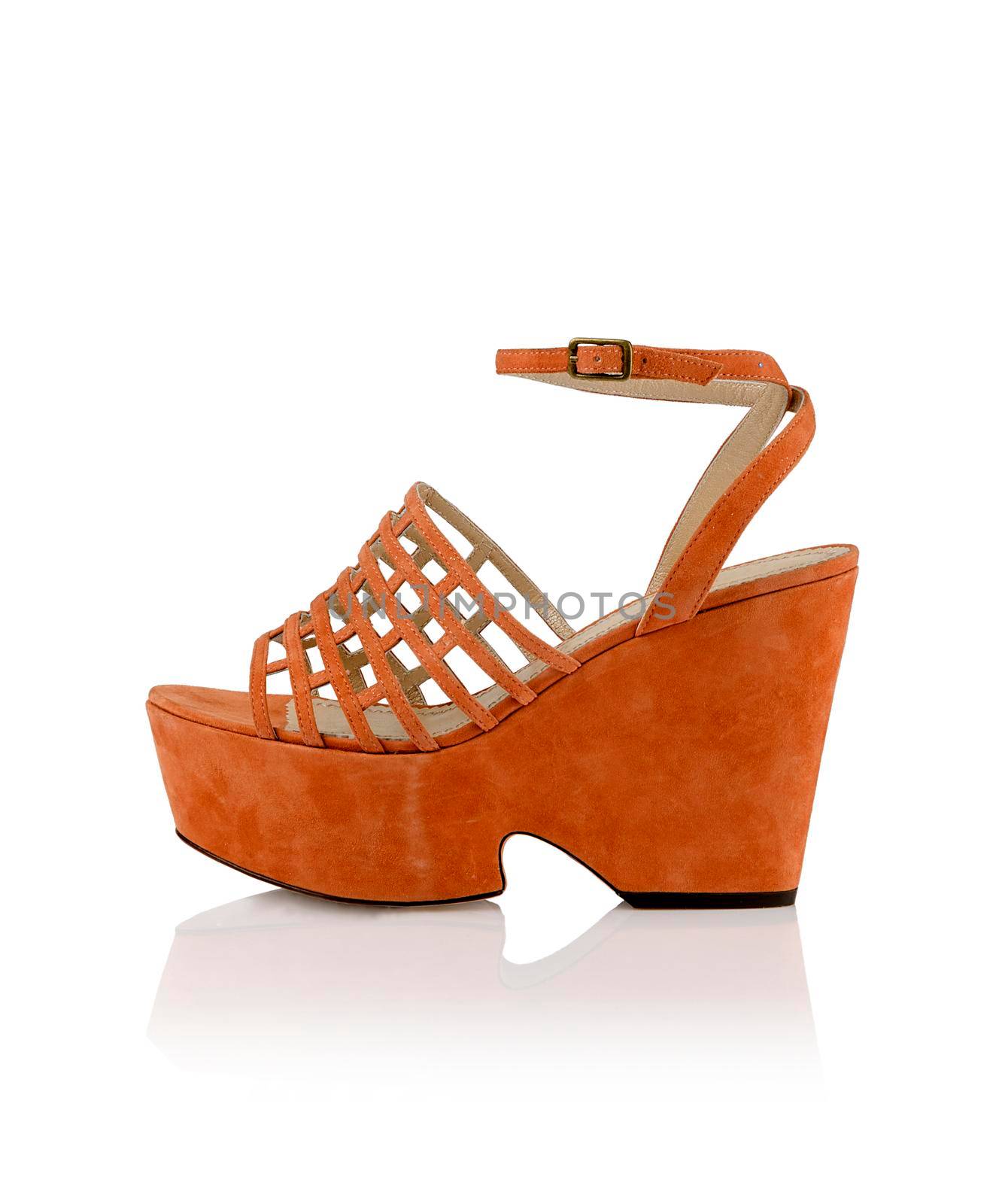Modern fashionable women shoe shot in studio