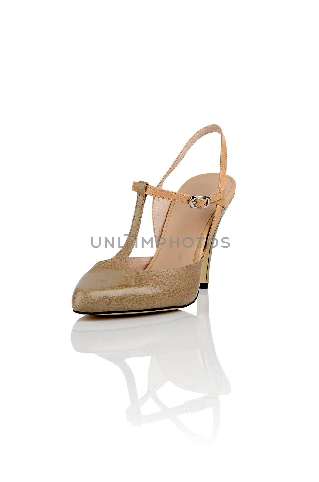 Modern womens fashion shoes isolated on white background