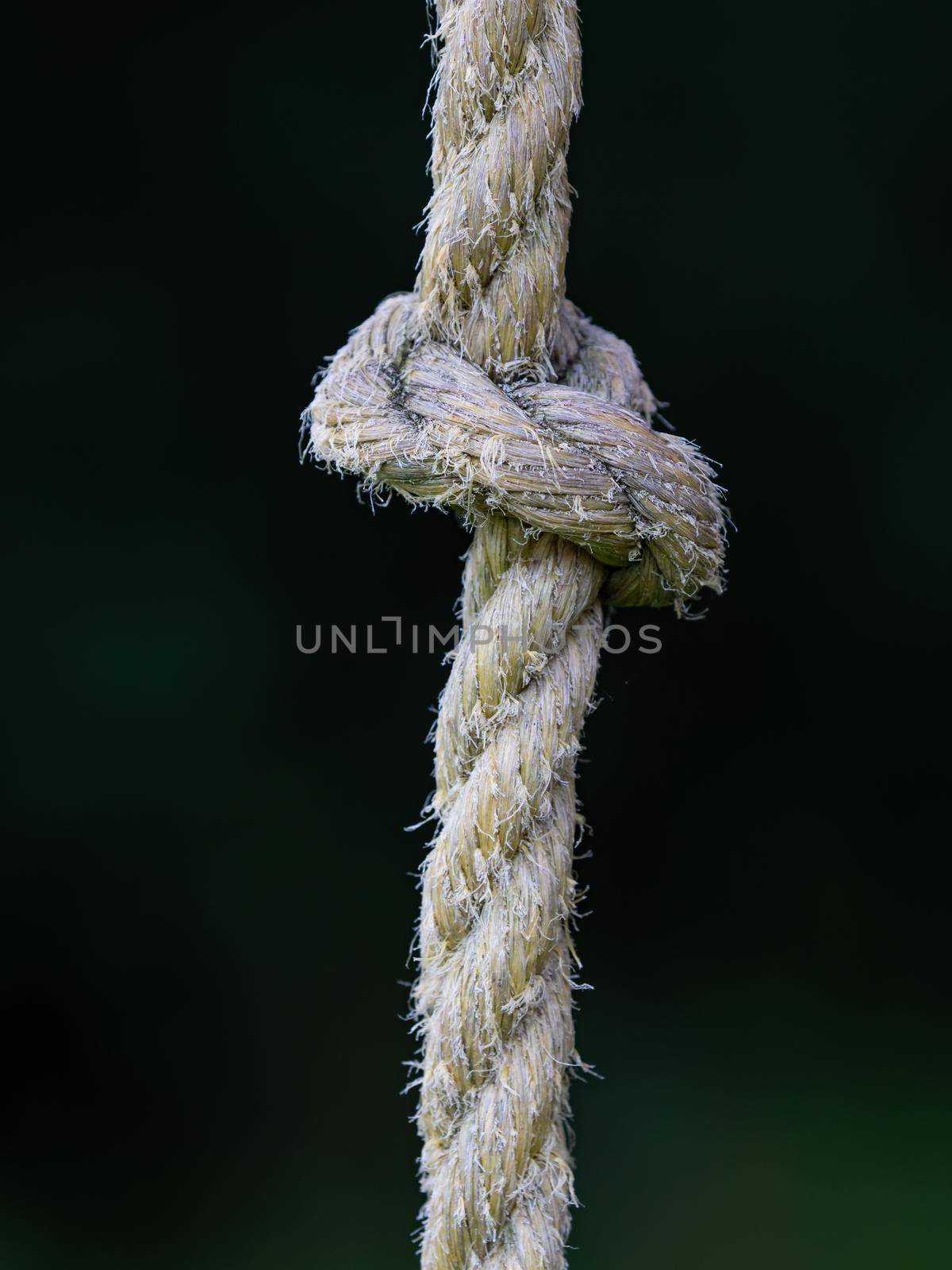 Rope ring knot hanging on wooden beam, trees in background by rdonar2