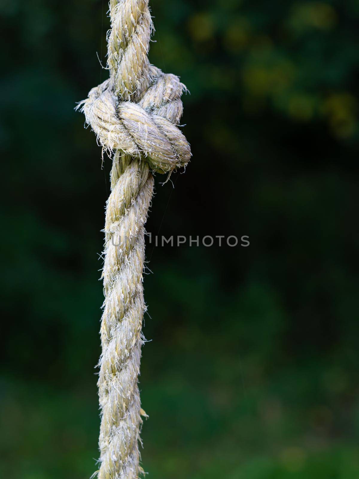 Knotted sports rope hanging from crossbar of horizontal bars on trees blurry background
