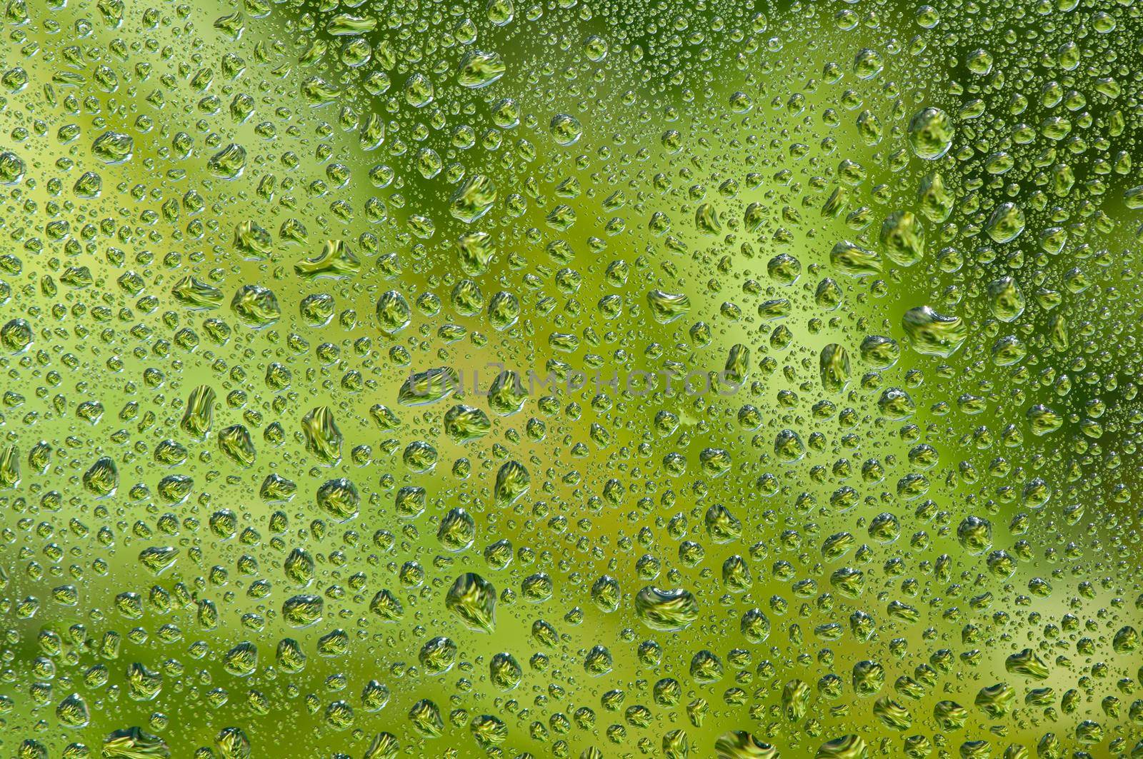 Water drop on glass window with green tree background.