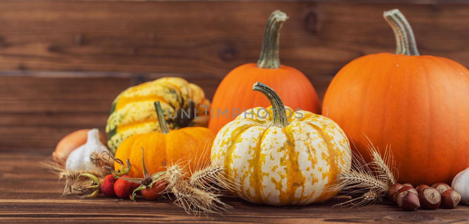 Autumn harvest still life with pumpkins , wheat ears , apples , garlic , onion on wooden background