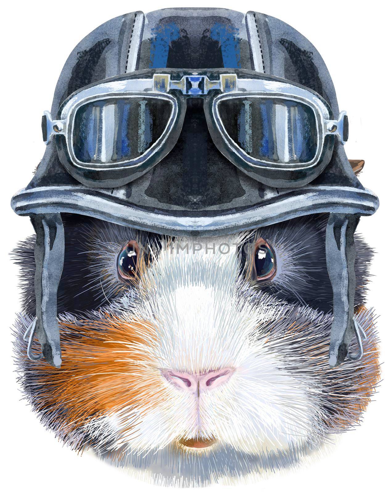 Watercolor portrait of abyssinian guinea pig in biker helmet with glasses on white background by NataOmsk