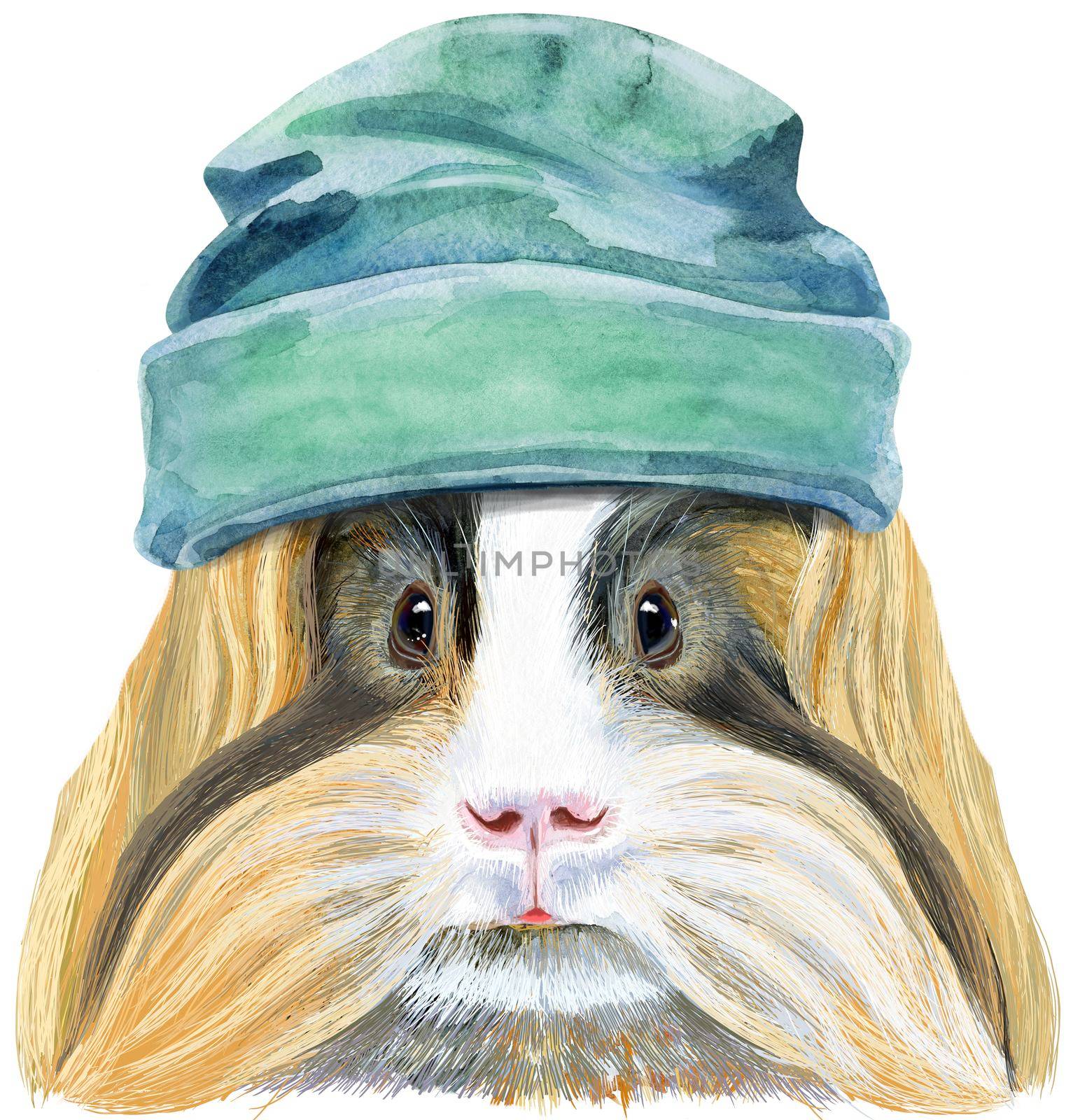 Cute cavy in bindie hat. Pig for T-shirt graphics. Watercolor Sheltie Guinea Pig illustration