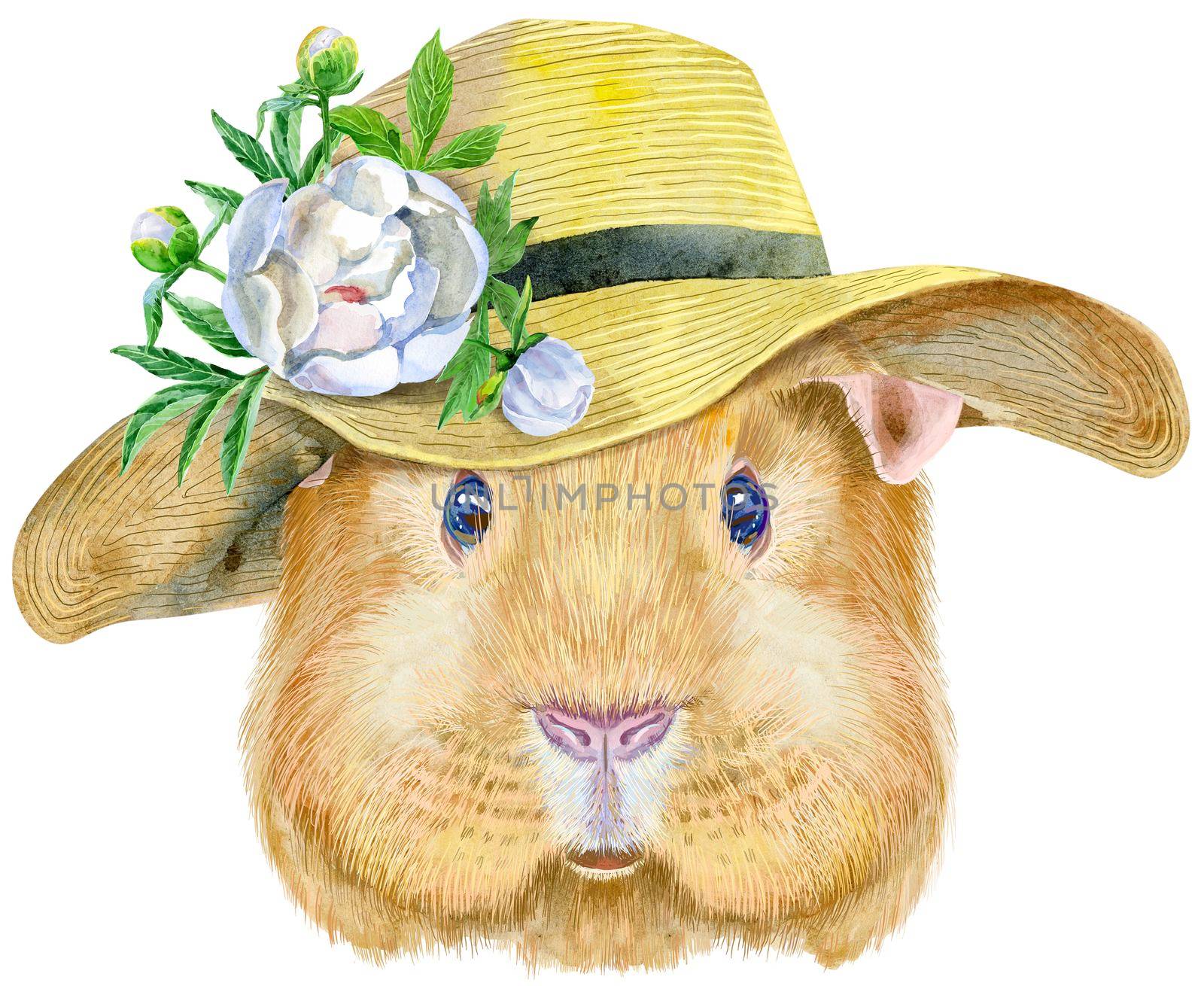 Watercolor portrait of Self guinea pig with summer hat on white background by NataOmsk