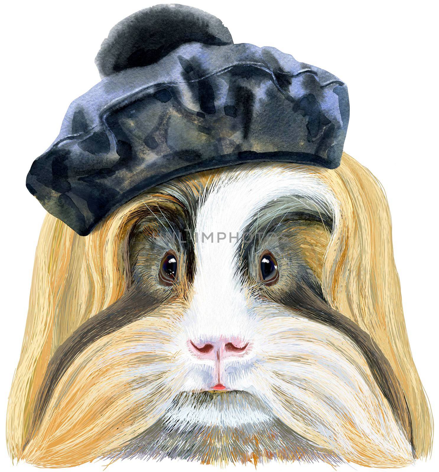 Watercolor portrait of Sheltie Guinea Pig in black beret on white background by NataOmsk