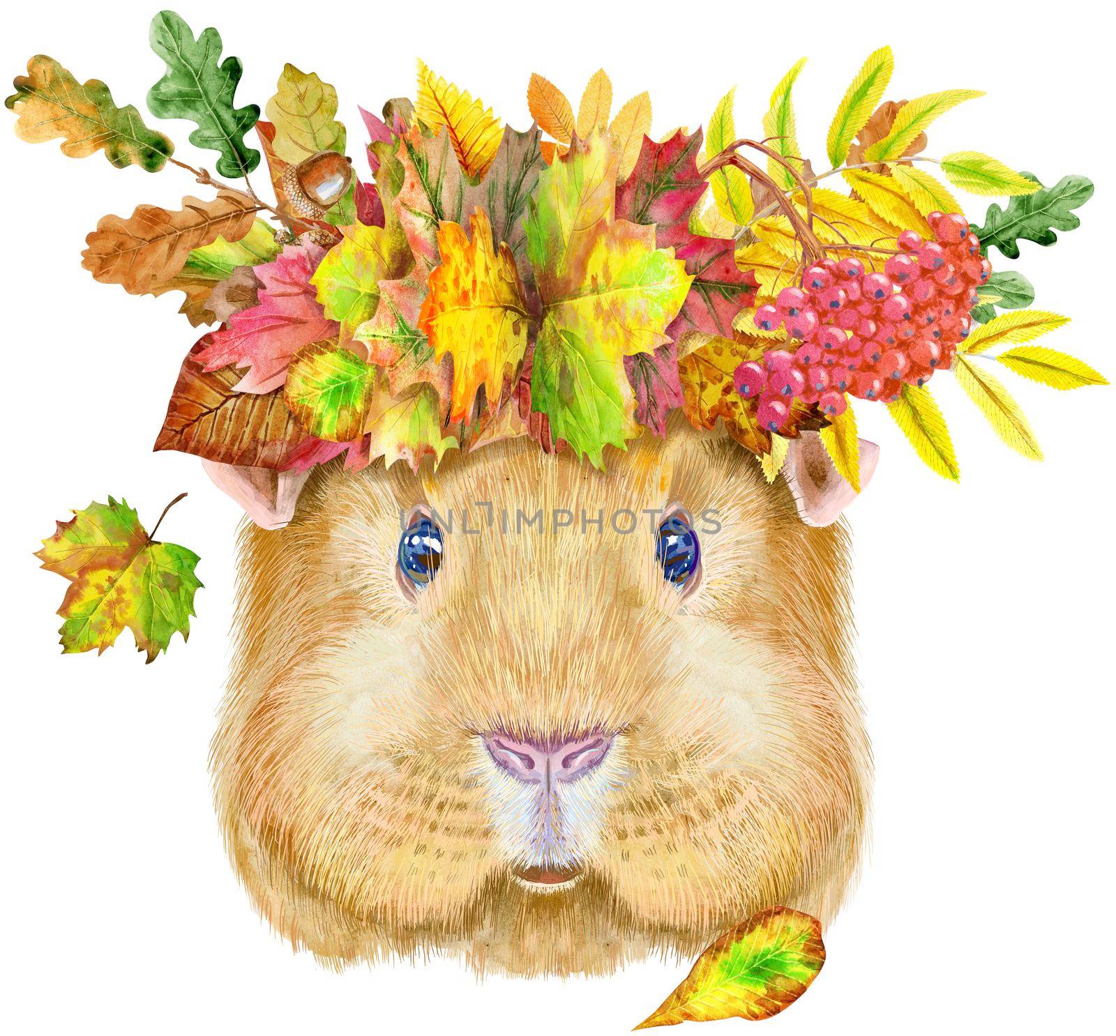Guinea pig with wreath of autumn leaves. Pig for T-shirt graphics. Watercolor Self guinea pig illustration