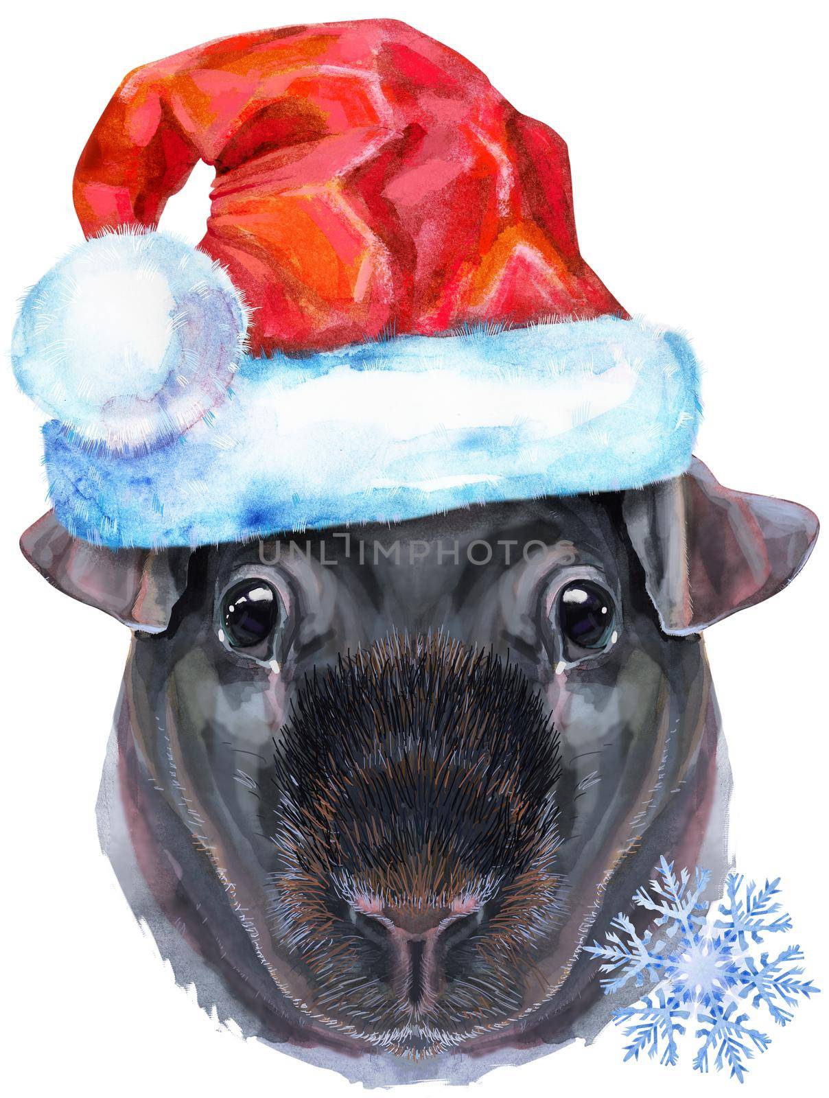 Watercolor portrait of Skinny Guinea Pig in Santa hat on white background by NataOmsk