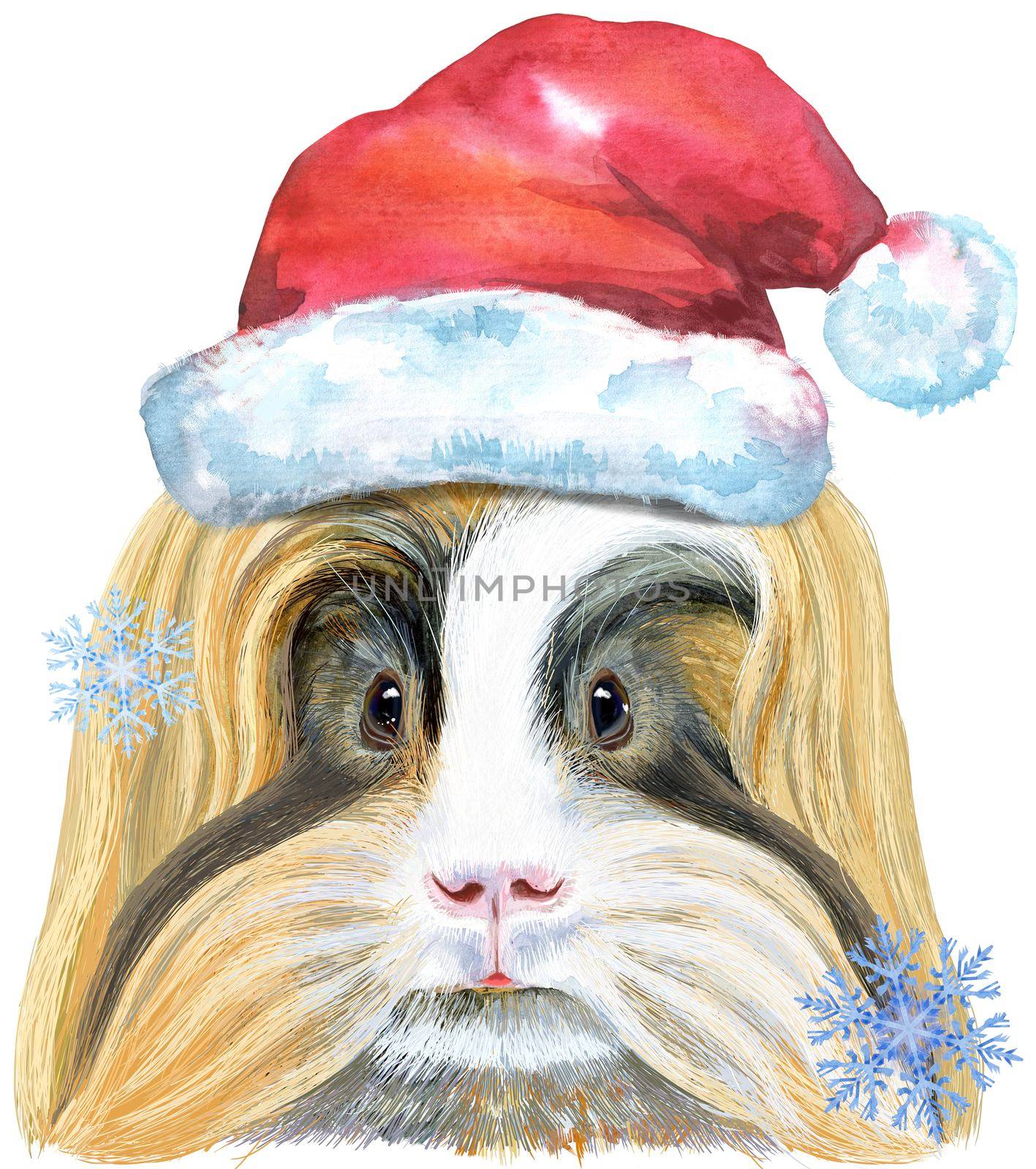 Watercolor portrait of Sheltie Guinea Pig in Santa hat on white background by NataOmsk
