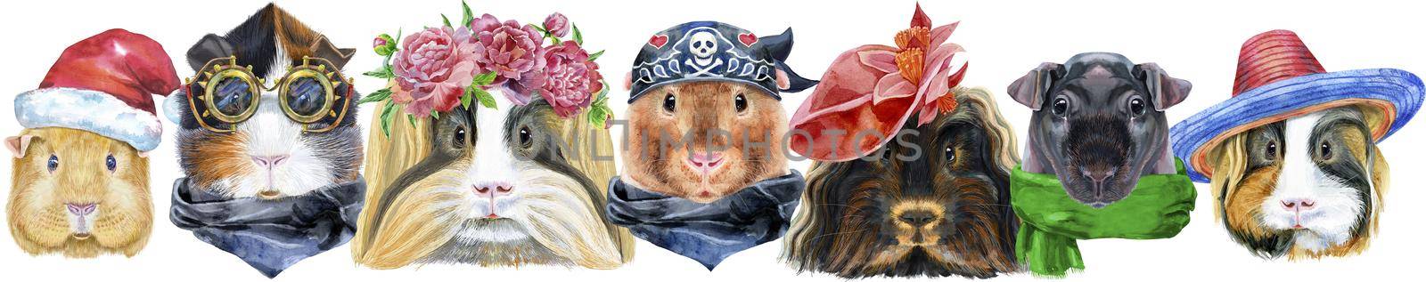 Large guinea pigs border set, pet portraits by NataOmsk